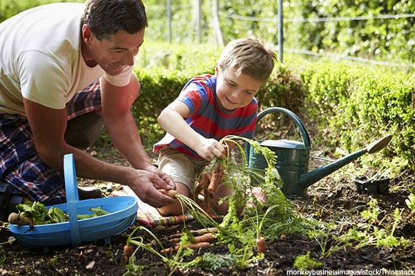 10 Ways to Learn in Your Own Backyard