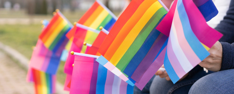 LGBTQIA and Transgender flags