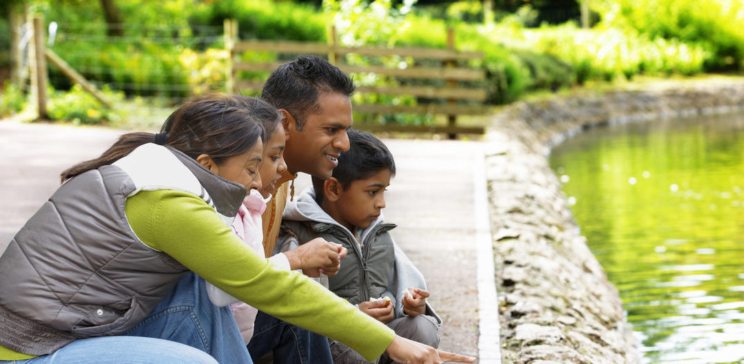 Simplify Your Holiday Season and Avoid Family Pitfalls